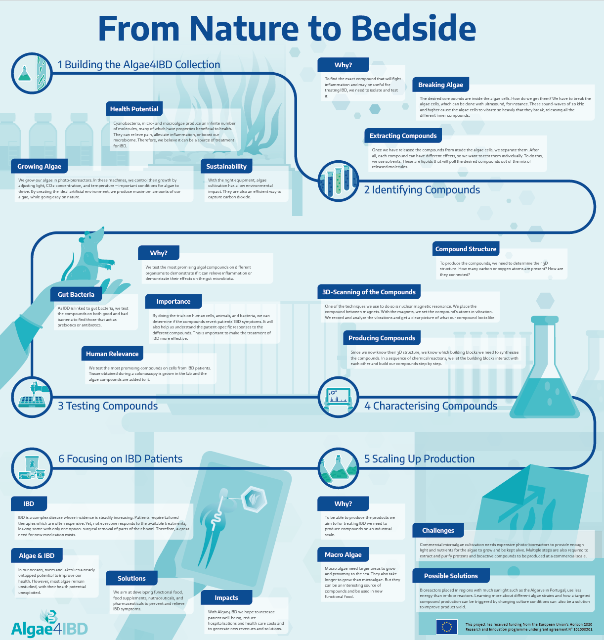 Algae4IBD Poster_Development Pipeline